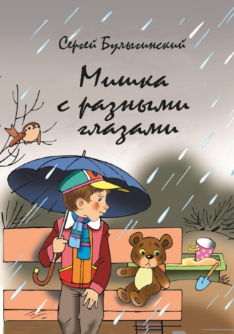 Обложка книги «Мишка с разными глазами»