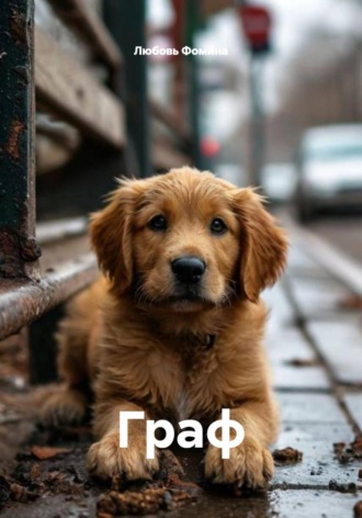 Обложка книги «Граф»