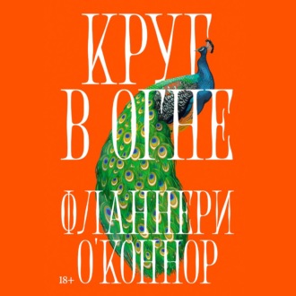 Обложка книги «Круг в огне: Рассказы»