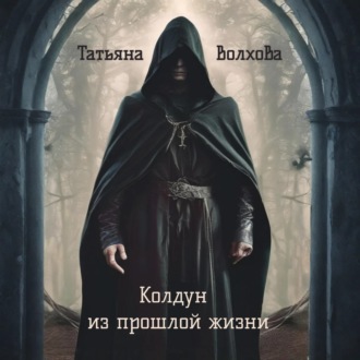 Обложка книги «Колдун из прошлой жизни»