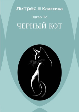 Обложка книги «Черный кот»