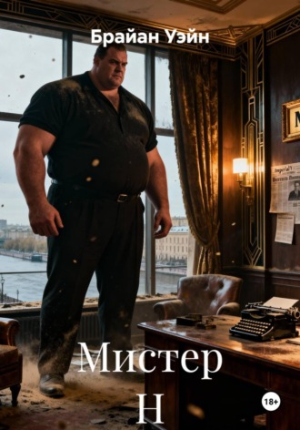 Обложка книги «Мистер Н»