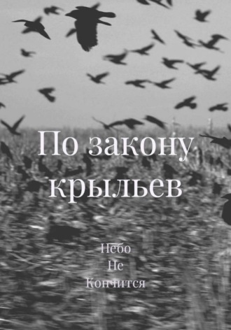 Обложка книги «По закону крыльев»