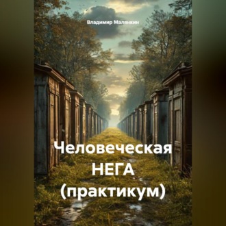 Обложка книги «Человеческая НЕГА (практикум)»