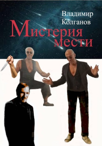 Обложка книги «Мистерия мести»