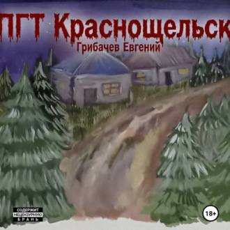 Обложка книги «ПГТ Краснощельск»