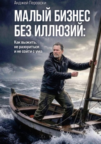 Обложка книги «МАЛЫЙ БИЗНЕС БЕЗ ИЛЛЮЗИЙ: Как выжить, не разориться и не сойти с ума»