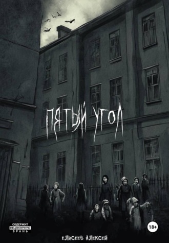 Обложка книги «Пятый угол»