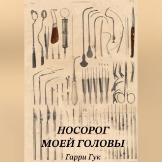 Обложка книги «Носорог моей головы»