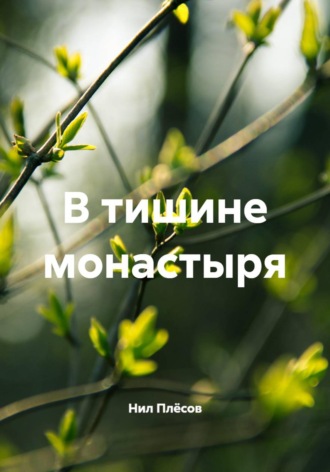 Обложка книги «В тишине монастыря»