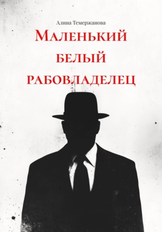 Обложка книги «Маленький белый рабовладелец»