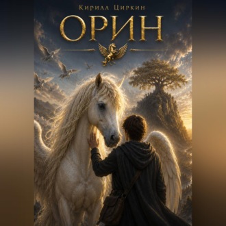 Обложка книги «Орин»