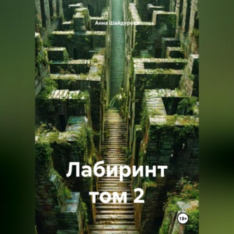 Обложка книги «Лабиринт том 2»
