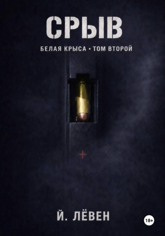 Обложка книги «Срыв»