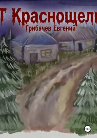 Обложка книги «ПГТ Краснощельск»
