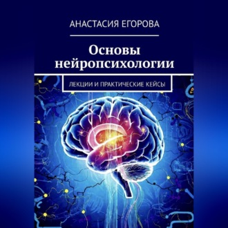 Обложка книги «Основы нейропсихологии»