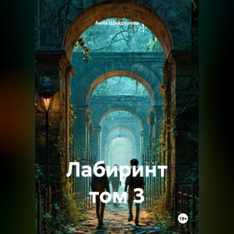 Обложка книги «Лабиринт том 3»