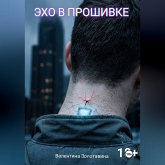 Обложка книги «Эхо в прошивке»