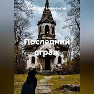Обложка книги «Последний страж»