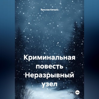 Обложка книги «Криминальная повесть Неразрывный узел»