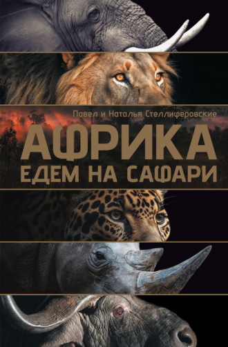 Обложка книги «Африка. Едем на сафари»