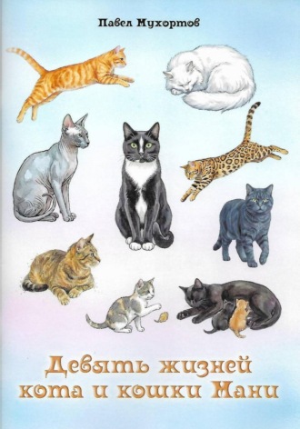 Обложка книги «Девять жизней кота и кошки Мани»