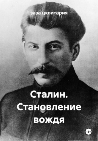 Обложка книги «Сталин. Становление вождя»