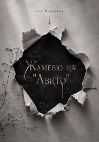 Обложка книги «Жамевю на Авито»