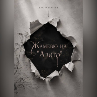Обложка книги «Жамевю на Авито»