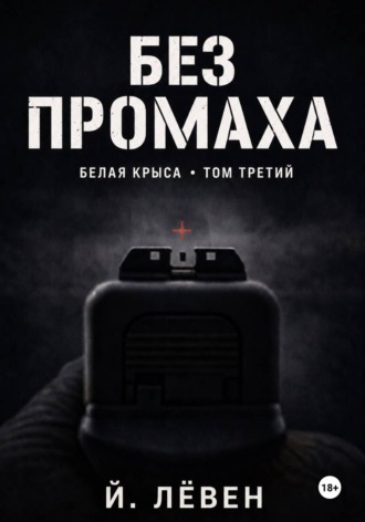 Обложка книги «Без промаха»