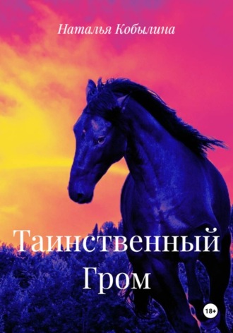 Обложка книги «Таинственный Гром»