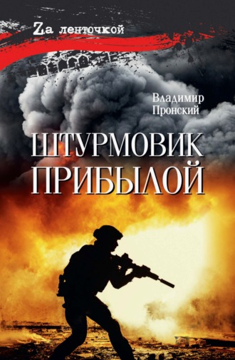 Обложка книги «Штурмовик Прибылой»