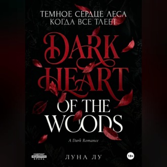 Обложка книги «Темное сердце леса. Когда все тлеет»