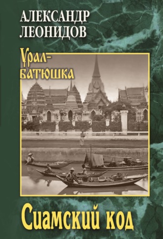 Обложка книги «Сиамский код»