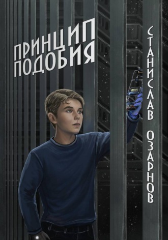 Обложка книги «Принцип подобия»