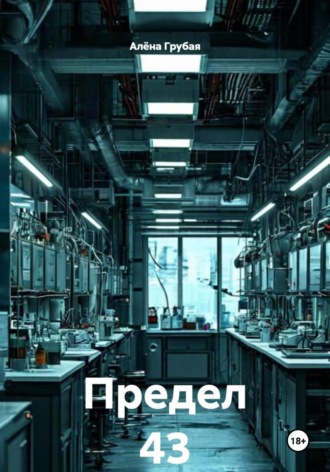 Обложка книги «Предел 43»