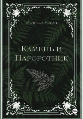 Обложка книги «Камень и папоротник»