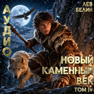 Обложка книги «Новый каменный век. Том IV»