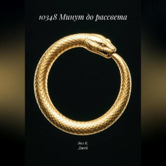 Обложка книги «10348 Минут до рассвета»