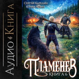 Обложка книги «Пламенев. Книга VI»