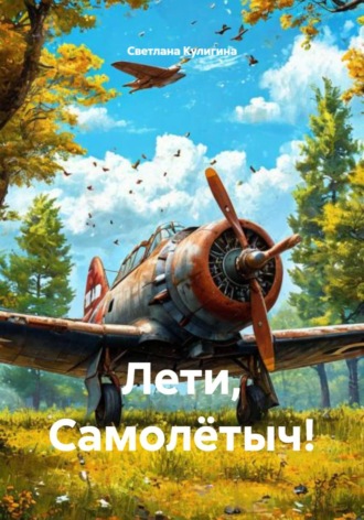 Обложка книги «Лети, Самолётыч!»