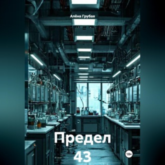 Обложка книги «Предел 43»
