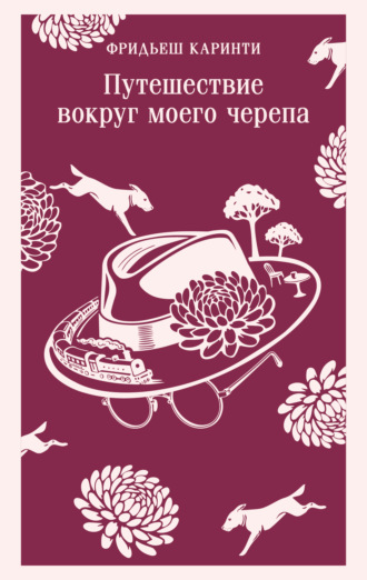 Обложка книги «Путешествие вокруг моего черепа»