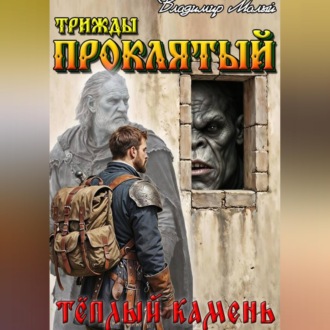 Обложка книги «Теплый камень»