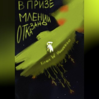 Обложка книги «В приземлении отказано»