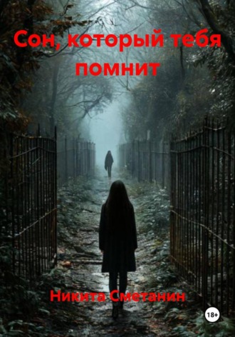 Обложка книги «Сон, который тебя помнит»