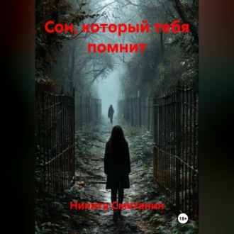 Обложка книги «Сон который тебя помнит»