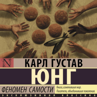 Обложка книги «Феномен самости»
