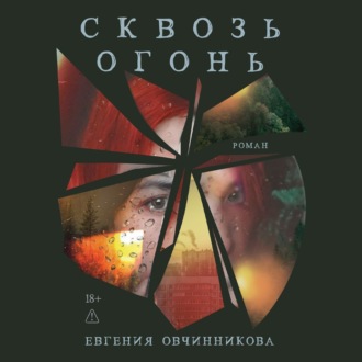 Обложка книги «Сквозь огонь»