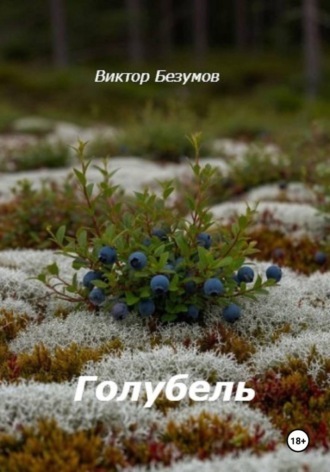 Обложка книги «Голубель»